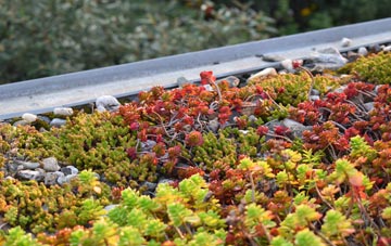 the cost of Cwm Fields green roof installation