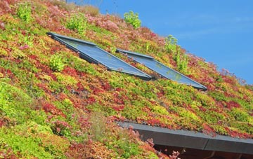 Cwm Fields living roof systems