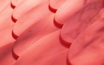 Cwm Fields plastic roof costs