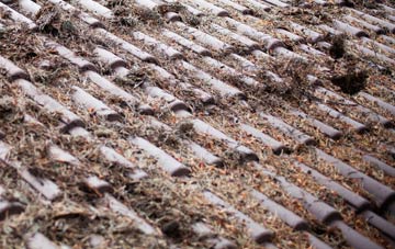 Cwm Fields roof cleaning companies