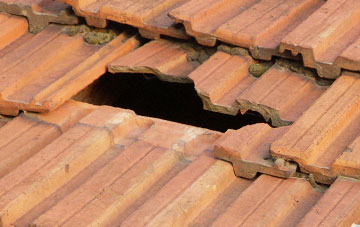 roof repair Cwm Fields, Torfaen