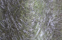 Cwm Fields fibreglass roof work